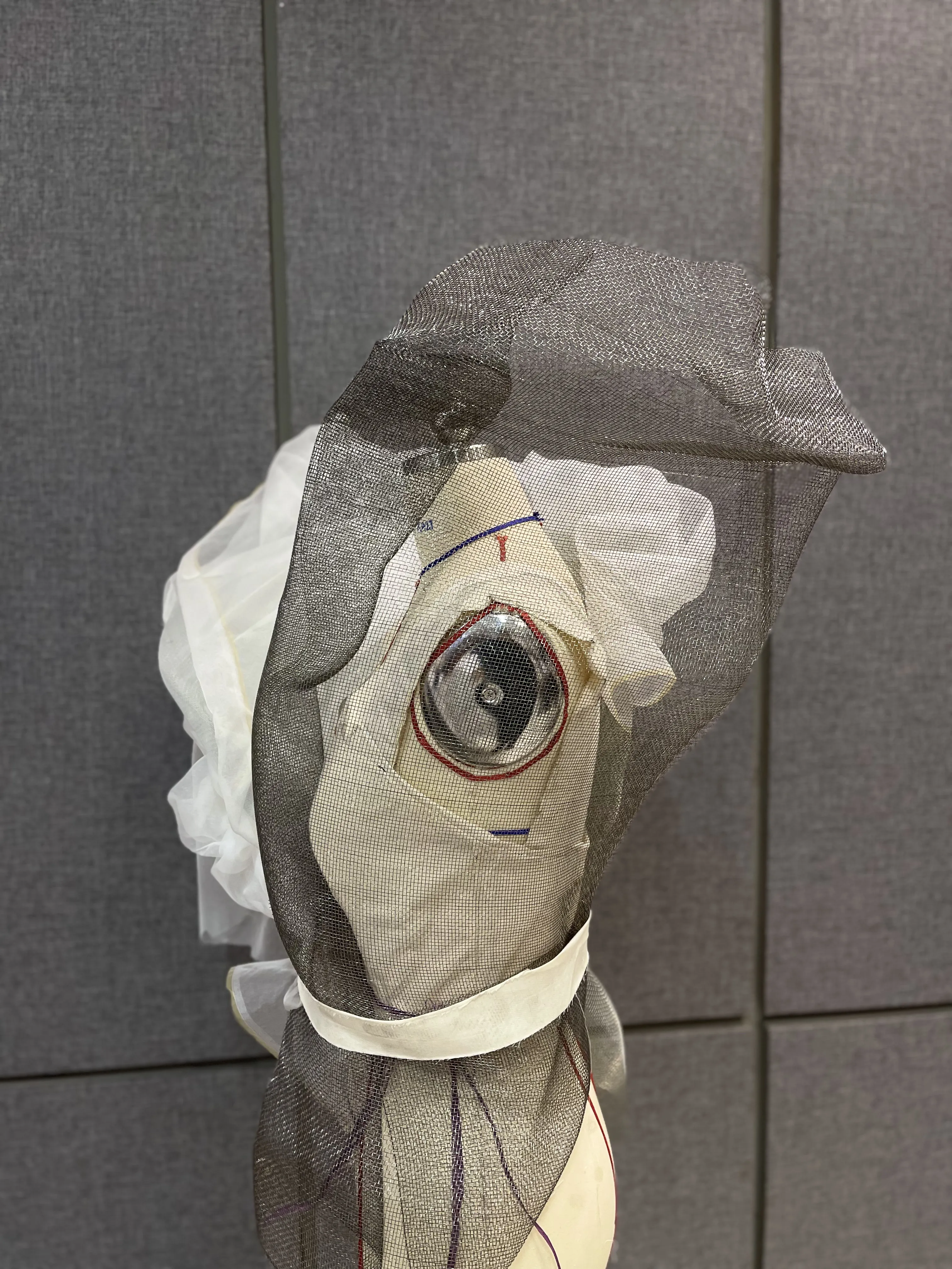 Thesis draping study