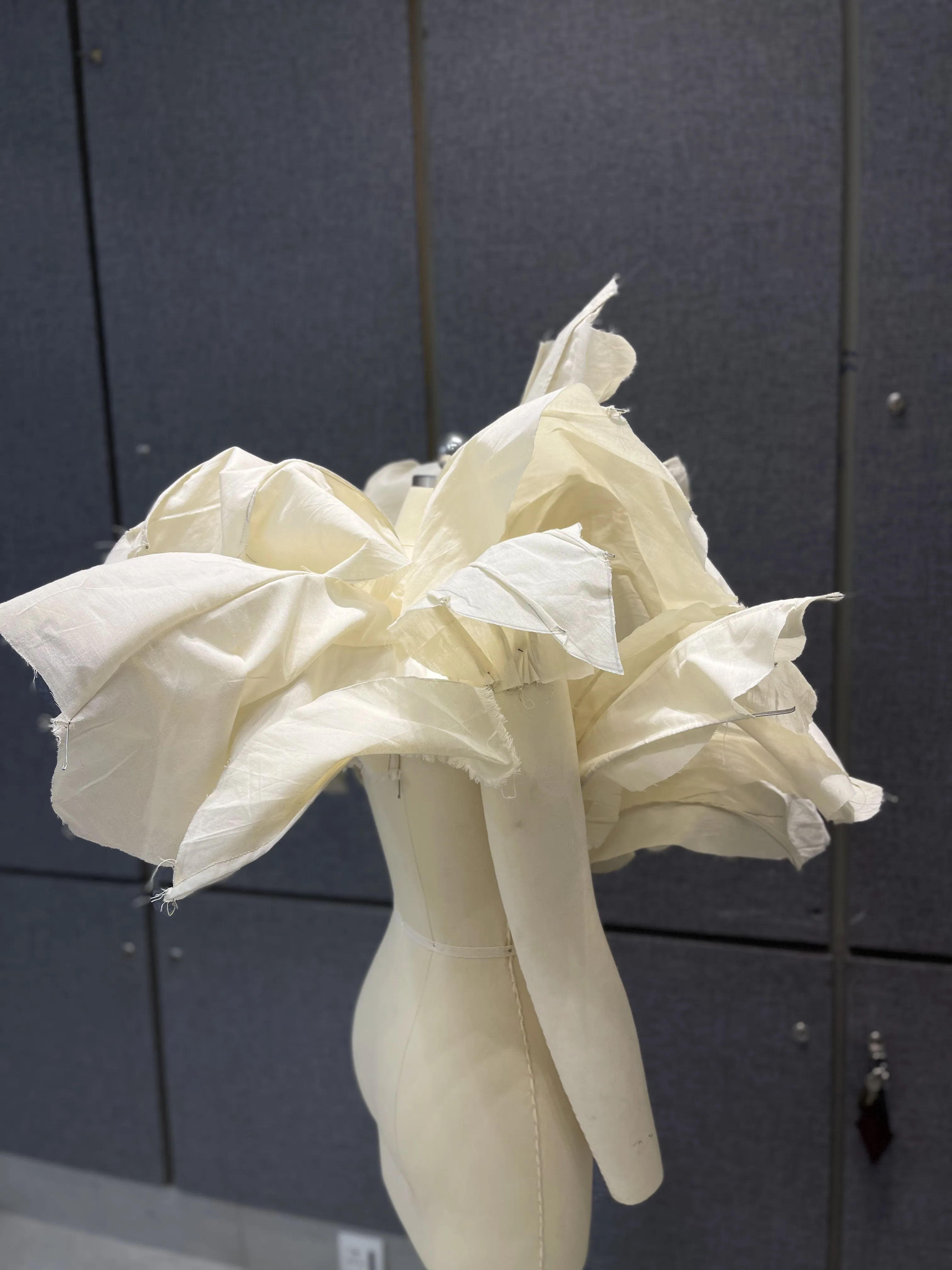 Thesis draping