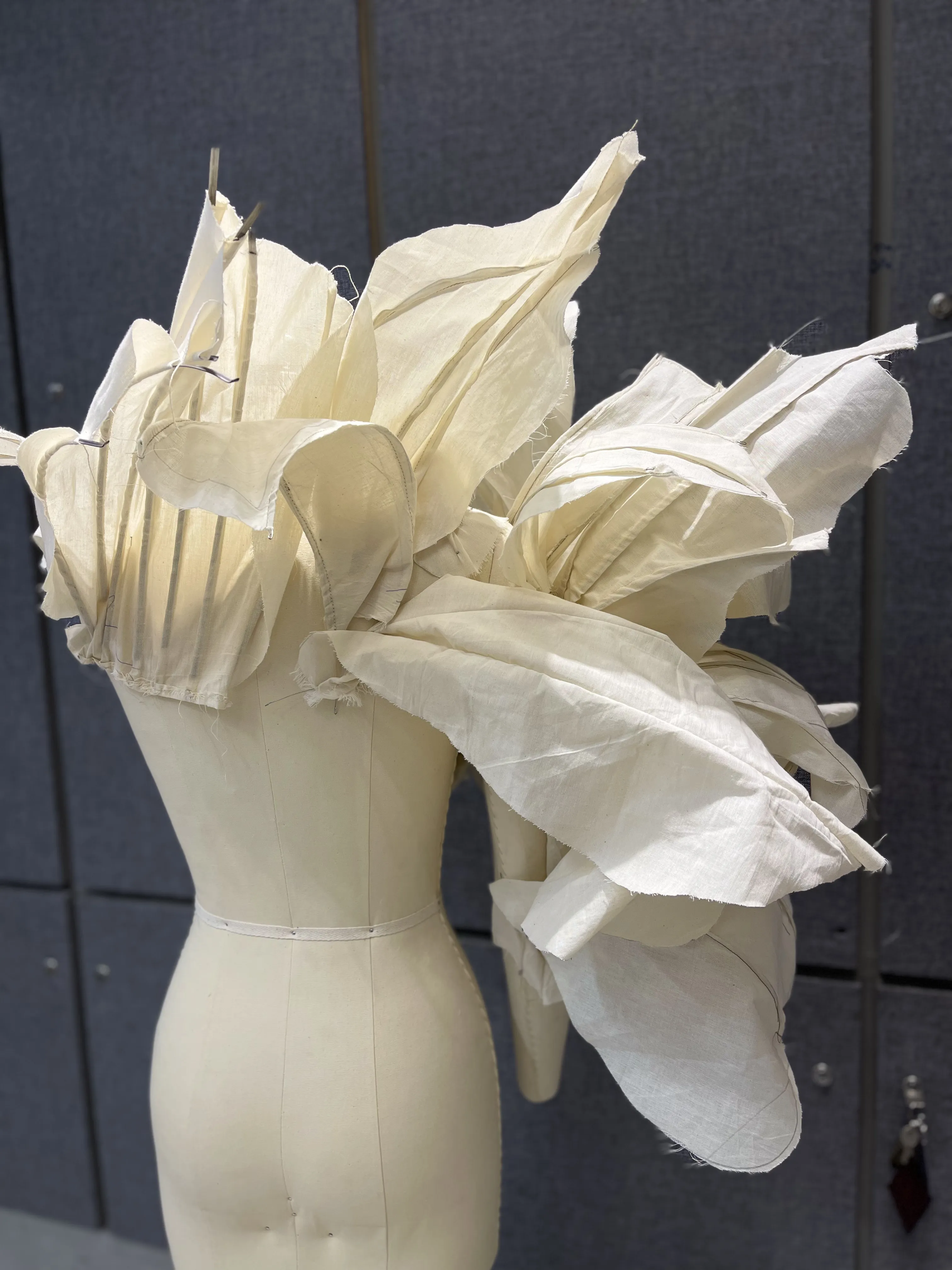 Thesis draping