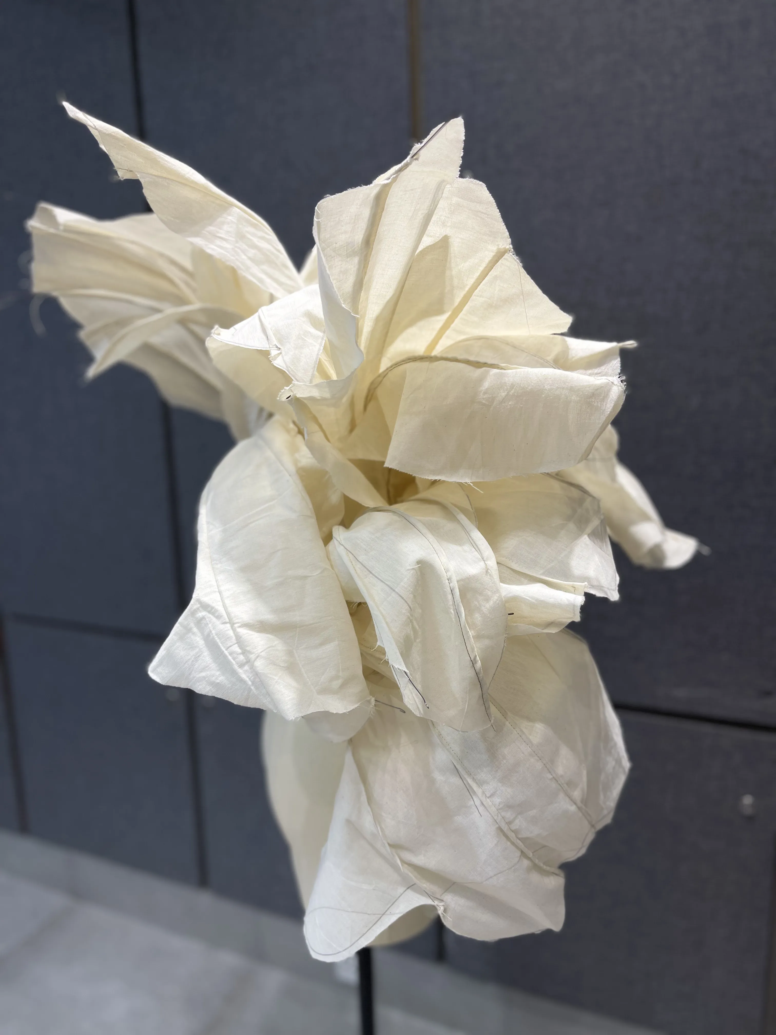 Thesis draping