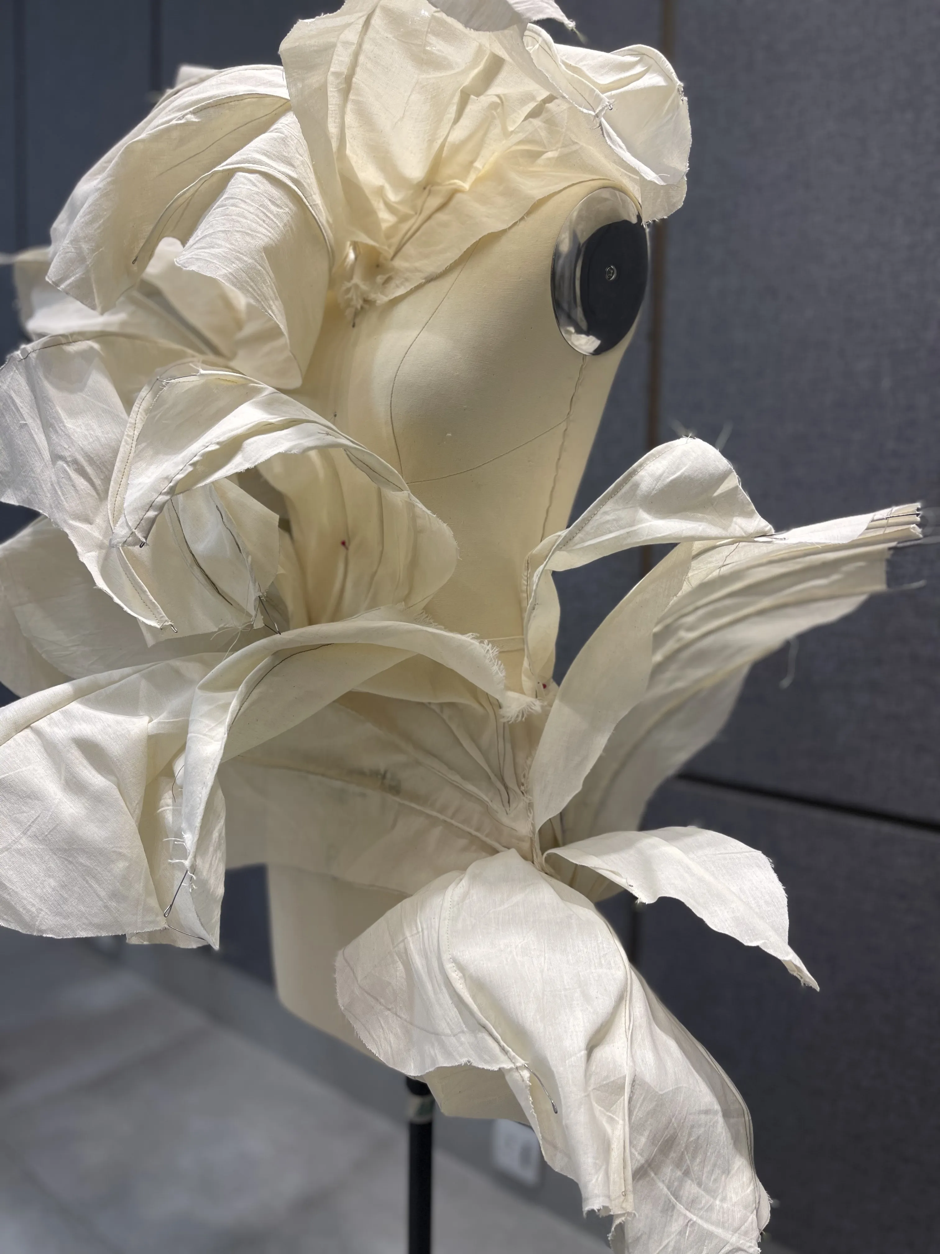 Thesis draping