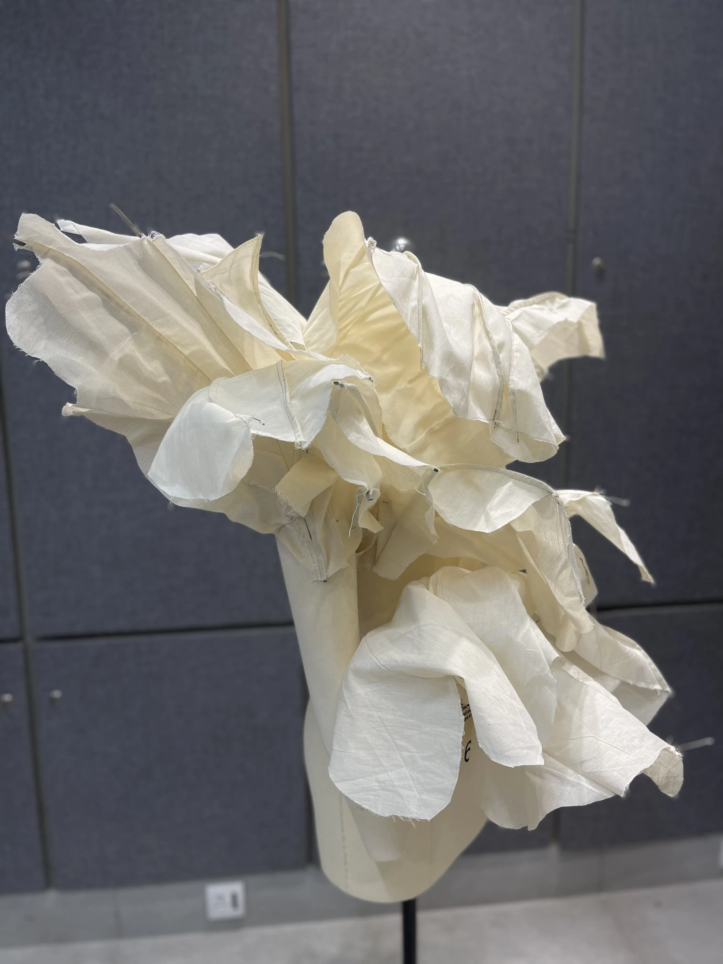 Thesis draping