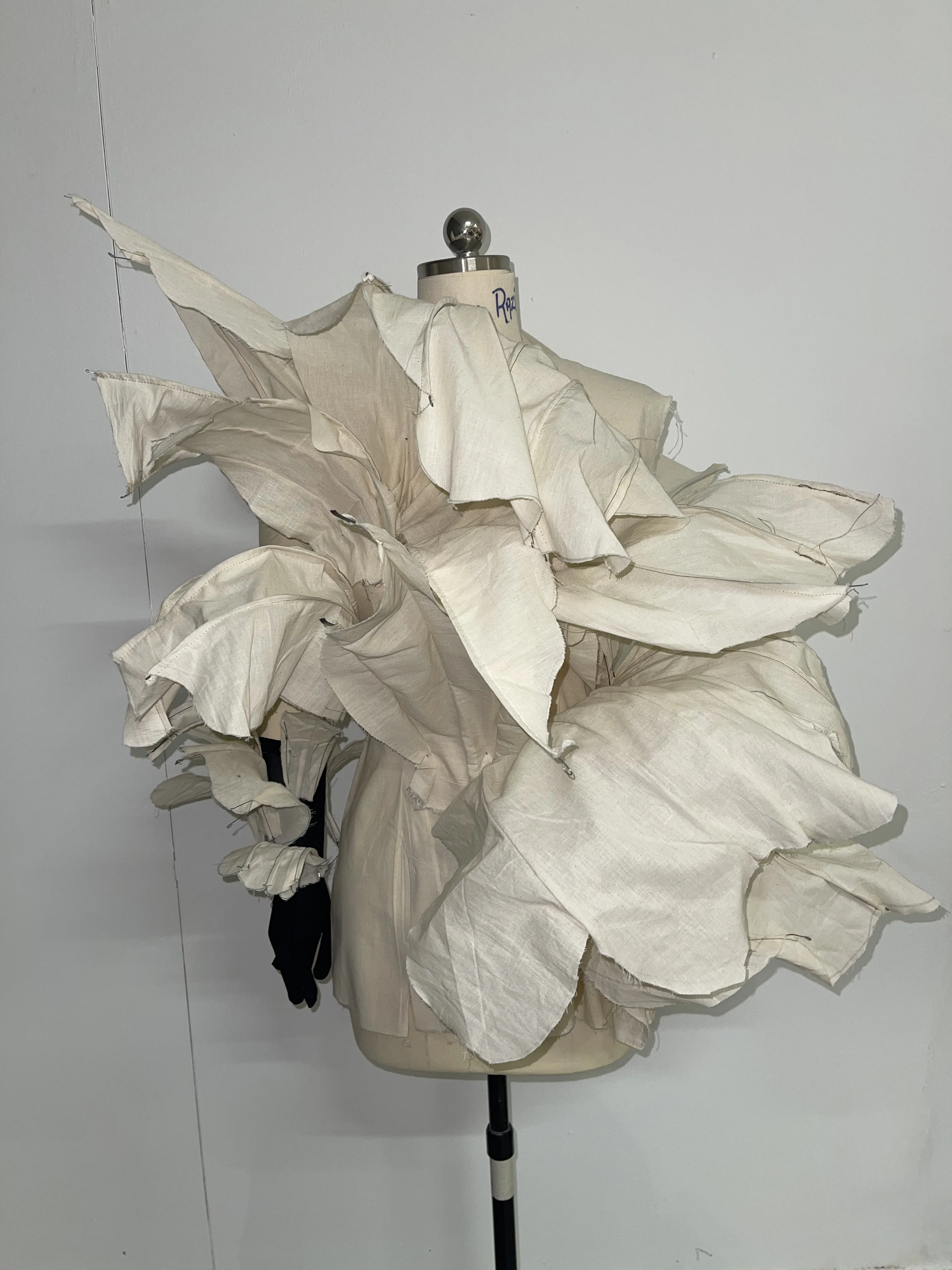Thesis draping
