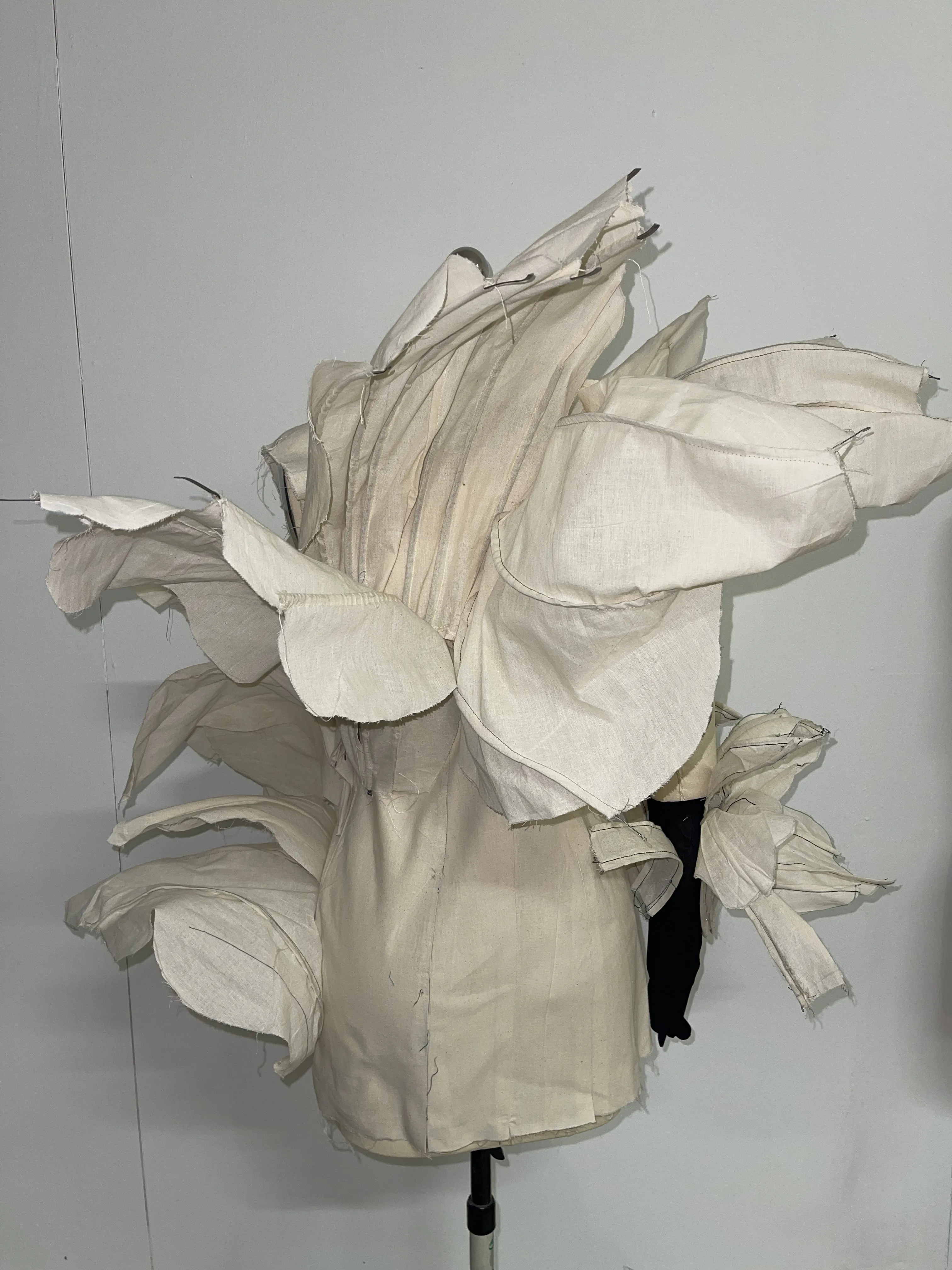 Thesis draping